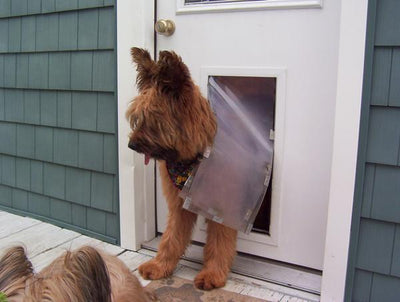 Hale Pet Door for 'People' Doors