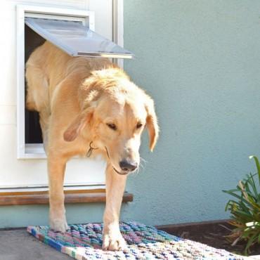 Endura Flap Pet Door for 'People' Doors