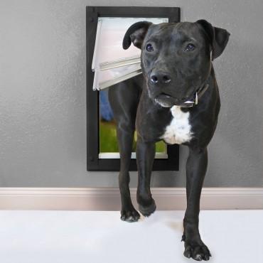 Endura Flap Pet Door for Walls - Wall Mount Dog Door