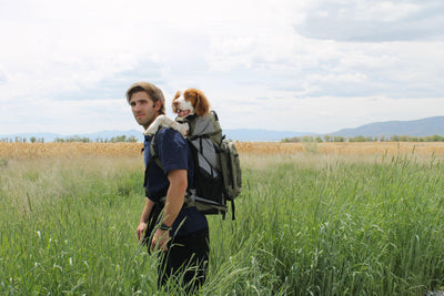 K9 Sport Sack Rover (30lbs-80lbs)