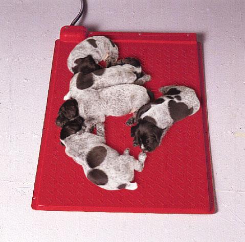 Kane Whelping Box Heat Mat by Lakeside Products
