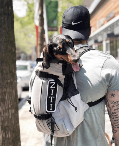 K9 Sport Sack AIR