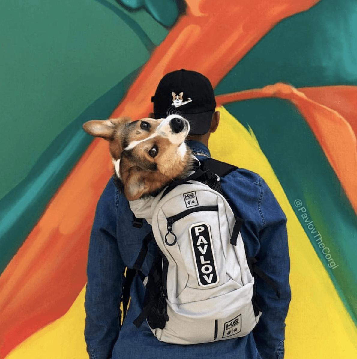 K9 Sport Sack AIR PLUS