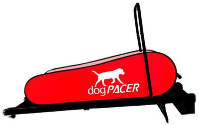 DogPacer LF 3.1 Dog Treadmill