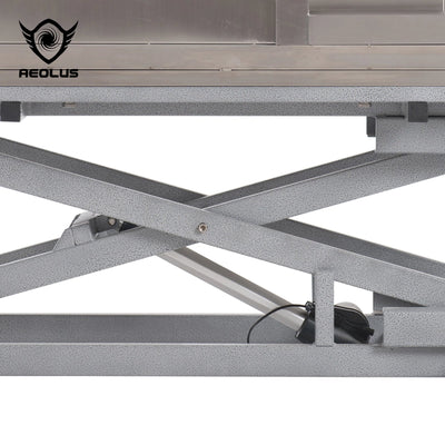 Aeolus BTS-131E Stainless Steel Electric Grooming Lift Tub