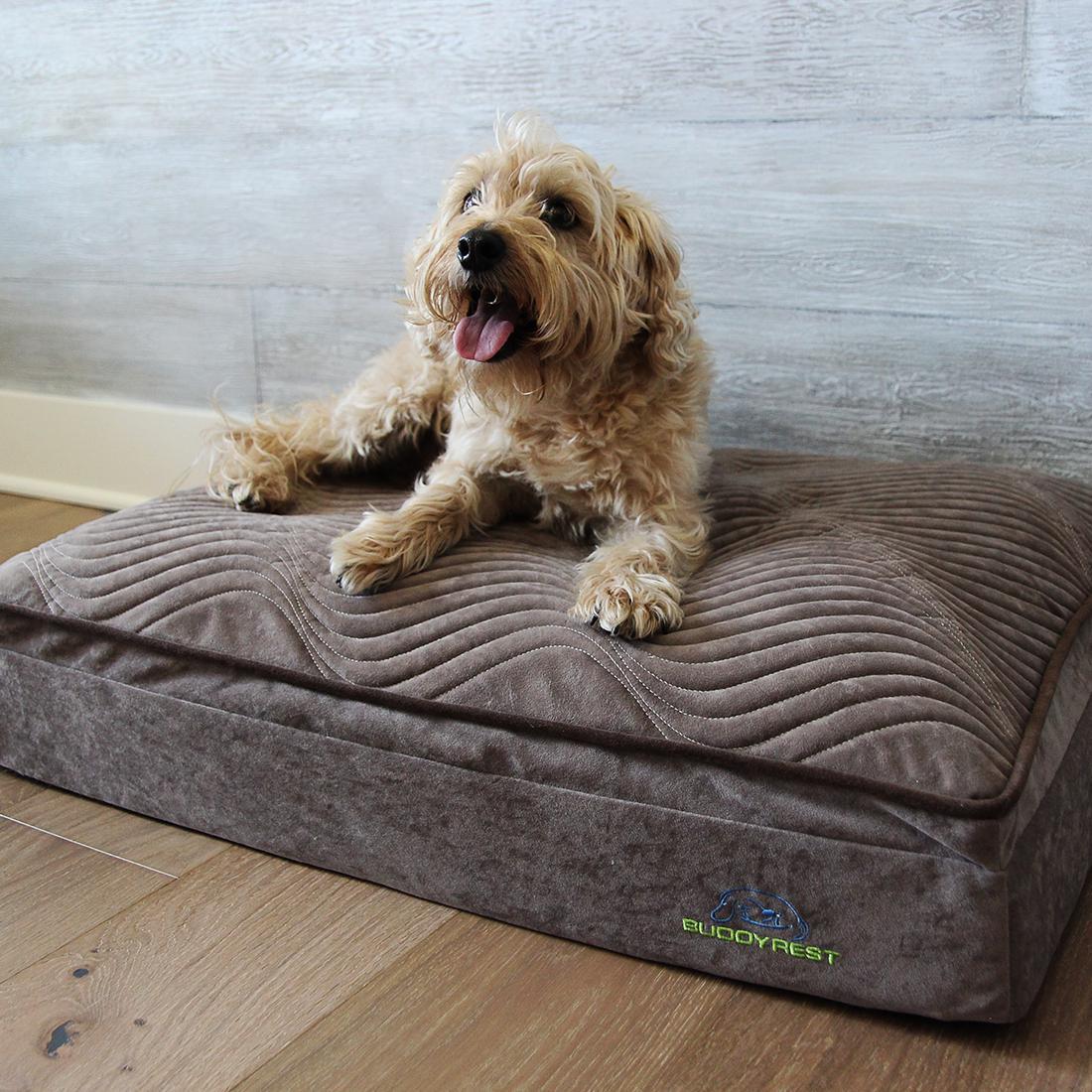 Buddy Rest Affinity Pillow Top Orthopedic Dog Bed