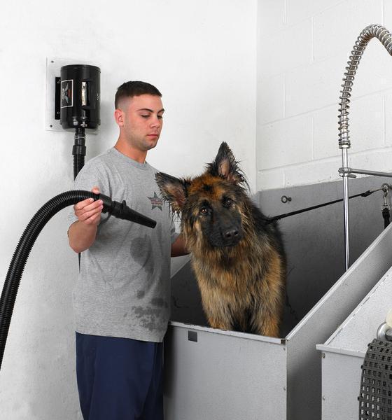 Metrovac Air Force Blaster Dog Grooming Pet Dryer