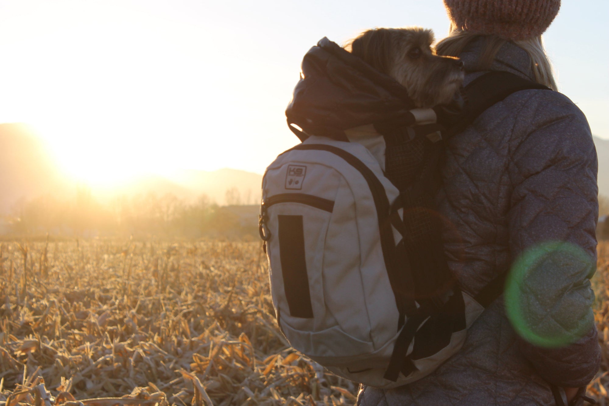 K9 Sport Sack AIR PLUS