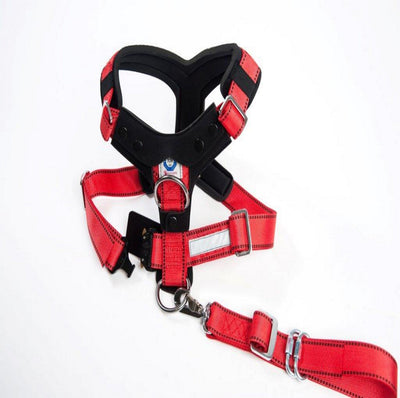 AllSafe Comfort Harness Dog Seat Belt