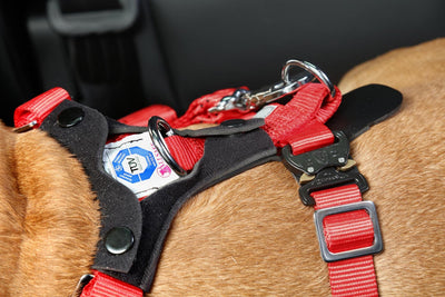 AllSafe Comfort Harness Dog Seat Belt