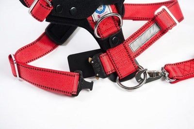 AllSafe Comfort Harness Dog Seat Belt