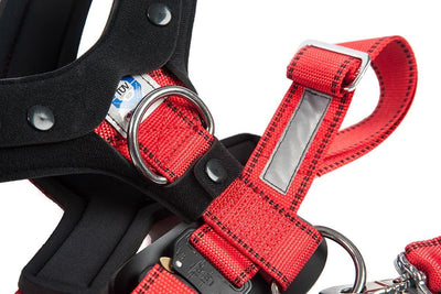 AllSafe Comfort Harness Dog Seat Belt