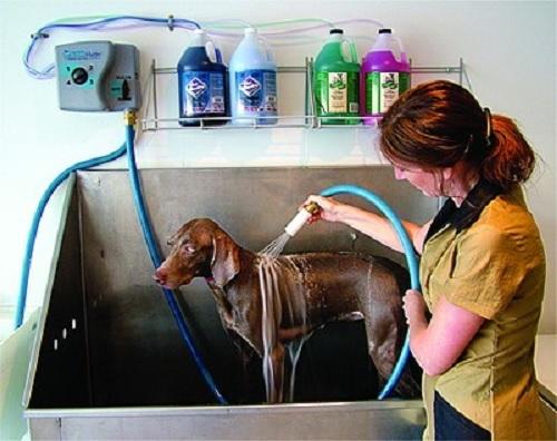 Bather Box Dog Bathing System (Formerly BathMaster)