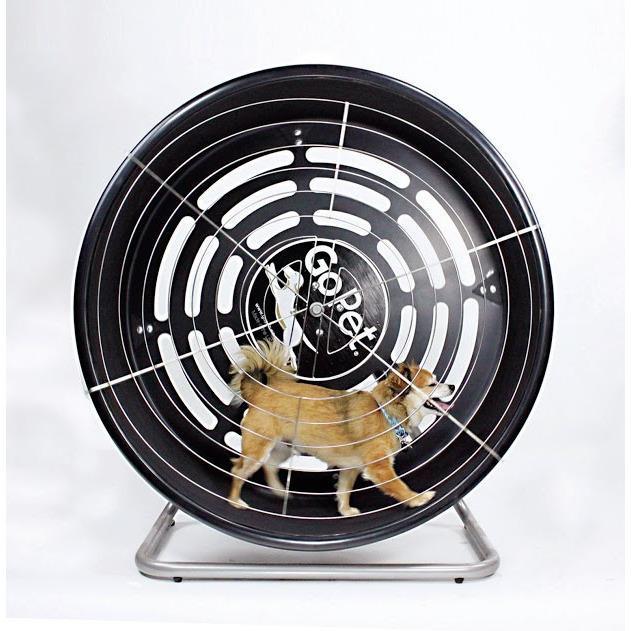 GoPet CG4012 Indoor & Outdoor Pet Treadwheel for Small Dogs & Cats Up To 25 LBS