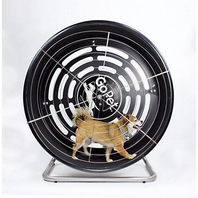 GoPet CG4012 Indoor & Outdoor Pet Treadwheel for Small Dogs & Cats Up To 25 LBS