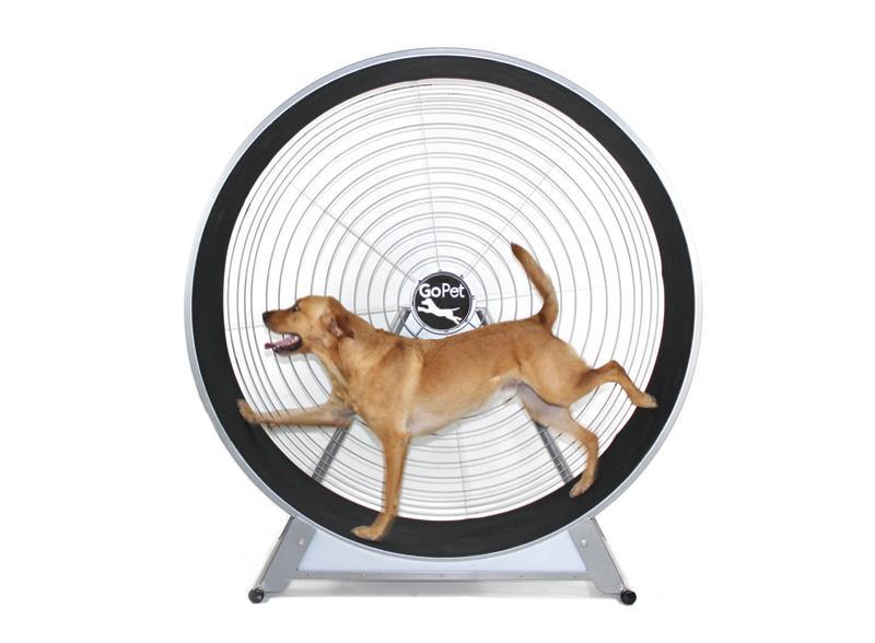 GoPet CS8022 Indoor & Outdoor Dog Treadwheel Up To 150 LBS