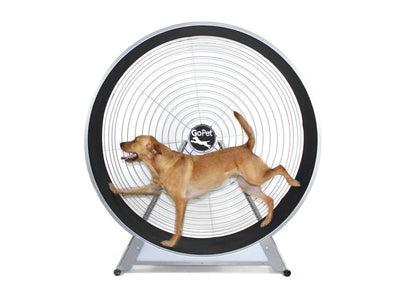 GoPet CS8022 Indoor & Outdoor Dog Treadwheel Up To 150 LBS