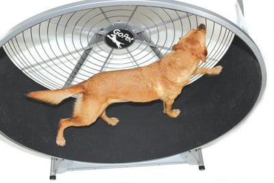 GoPet CS8022 Indoor & Outdoor Dog Treadwheel Up To 150 LBS