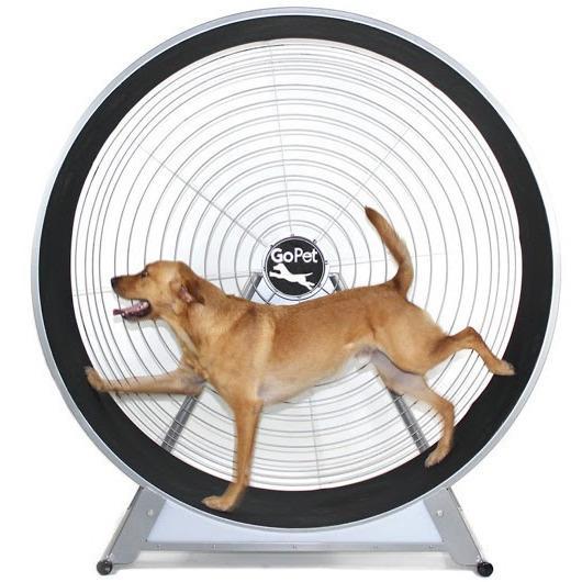 GoPet CS6020 Indoor & Outdoor Dog Treadwheel Up To 150 LBS