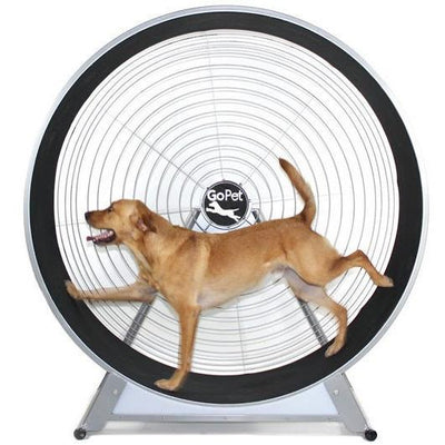 GoPet CS6020 Indoor & Outdoor Dog Treadwheel Up To 150 LBS