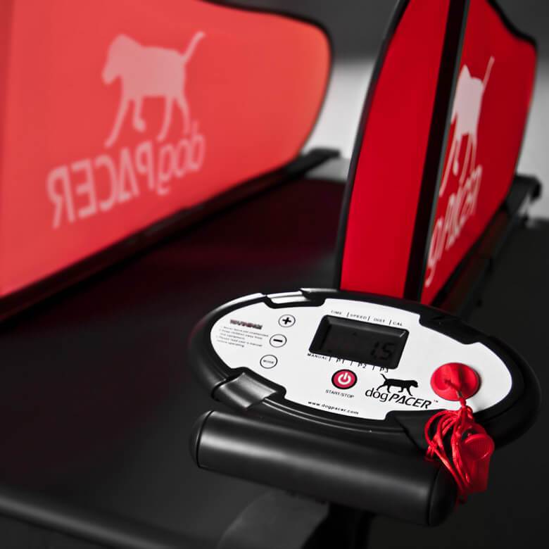 DogPacer LF 3.1 Dog Treadmill