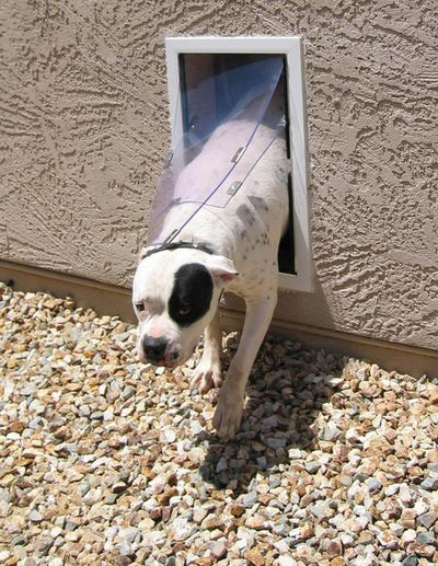 Hale Pet Door for Walls