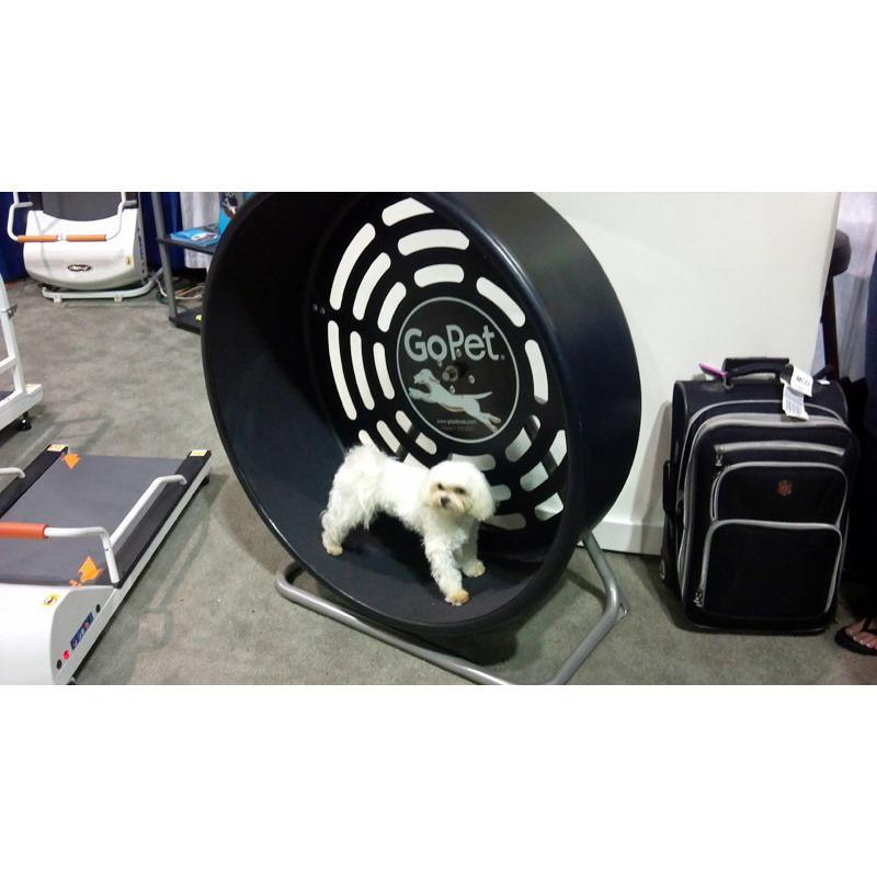 GoPet CG4012 Indoor & Outdoor Pet Treadwheel for Small Dogs & Cats Up To 25 LBS
