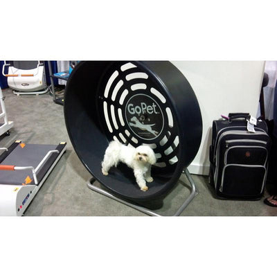 GoPet CG4012 Indoor & Outdoor Pet Treadwheel for Small Dogs & Cats Up To 25 LBS