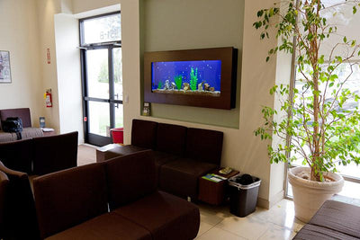 Piquarium Wall Mounted Aquarium