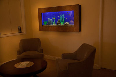 Piquarium Wall Mounted Aquarium