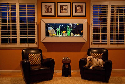 Piquarium Wall Mounted Aquarium