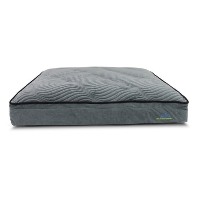 Buddy Rest Affinity Pillow Top Orthopedic Dog Bed
