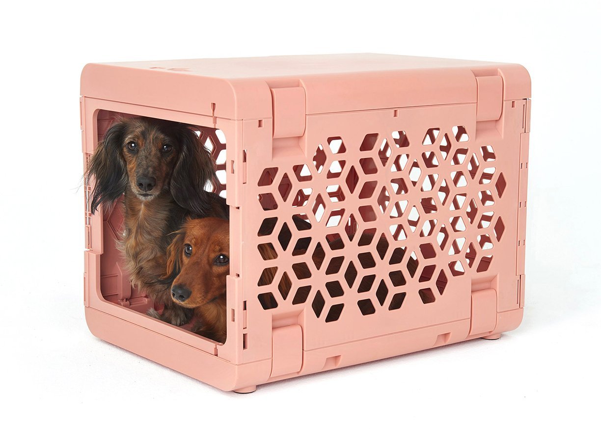 PAWD Pet Crate by Kindtail