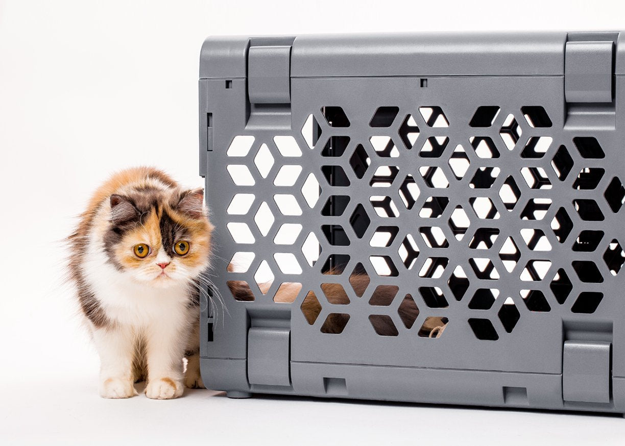 PAWD Pet Crate by Kindtail