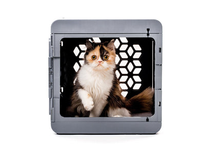 PAWD Pet Crate by Kindtail