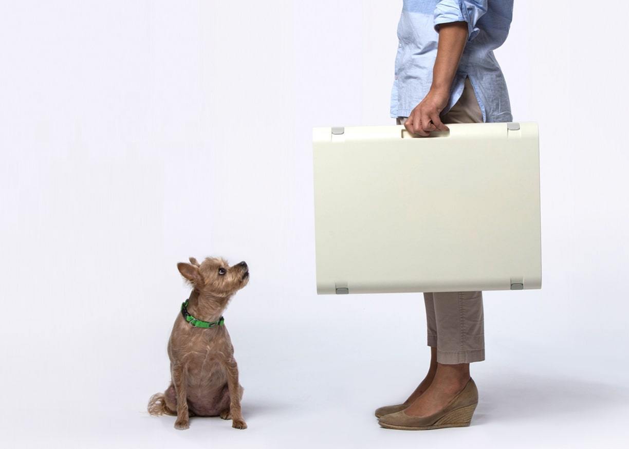 PAWD Pet Crate by Kindtail