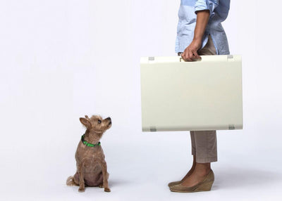 PAWD Pet Crate by Kindtail