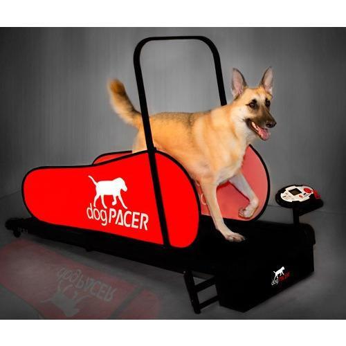 DogPacer LF 3.1 Dog Treadmill