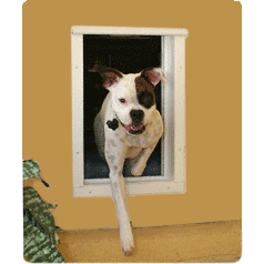 PlexiDor Performance Automatic Electronic Wall Mount Cat / Dog Door