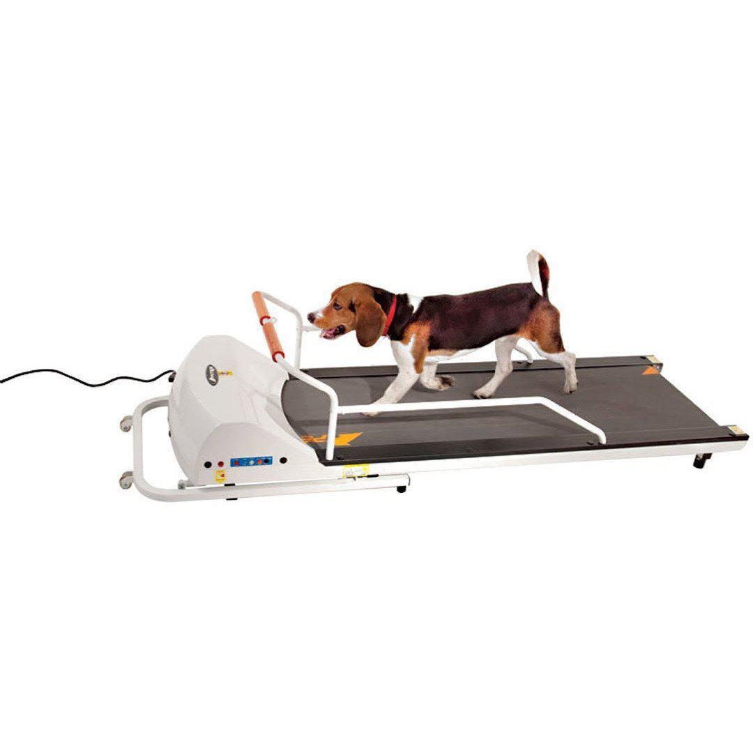 GoPet PetRun PR720F Dog Treadmill Up To 132 LBS