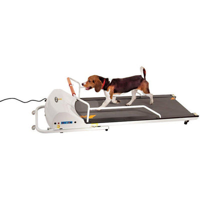 GoPet PetRun PR720F Dog Treadmill Up To 132 LBS