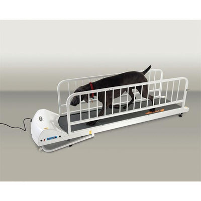 GoPet PetRun PR725 Enclosable Dog Treadmill for Large Dogs Up To 176 LBS