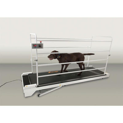 GoPet PetRun PR730 Encloseable Dog Treadmill for Large Dogs Up To 264 LBS