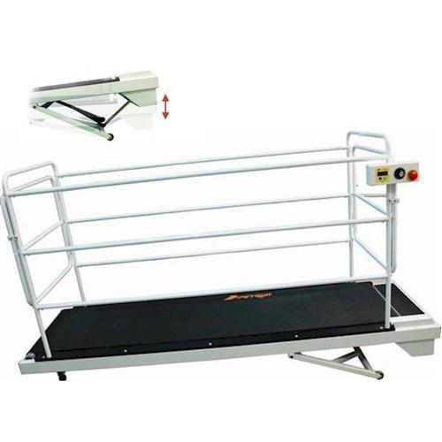 GoPet PetRun PR730 Encloseable Dog Treadmill for Large Dogs Up To 264 LBS