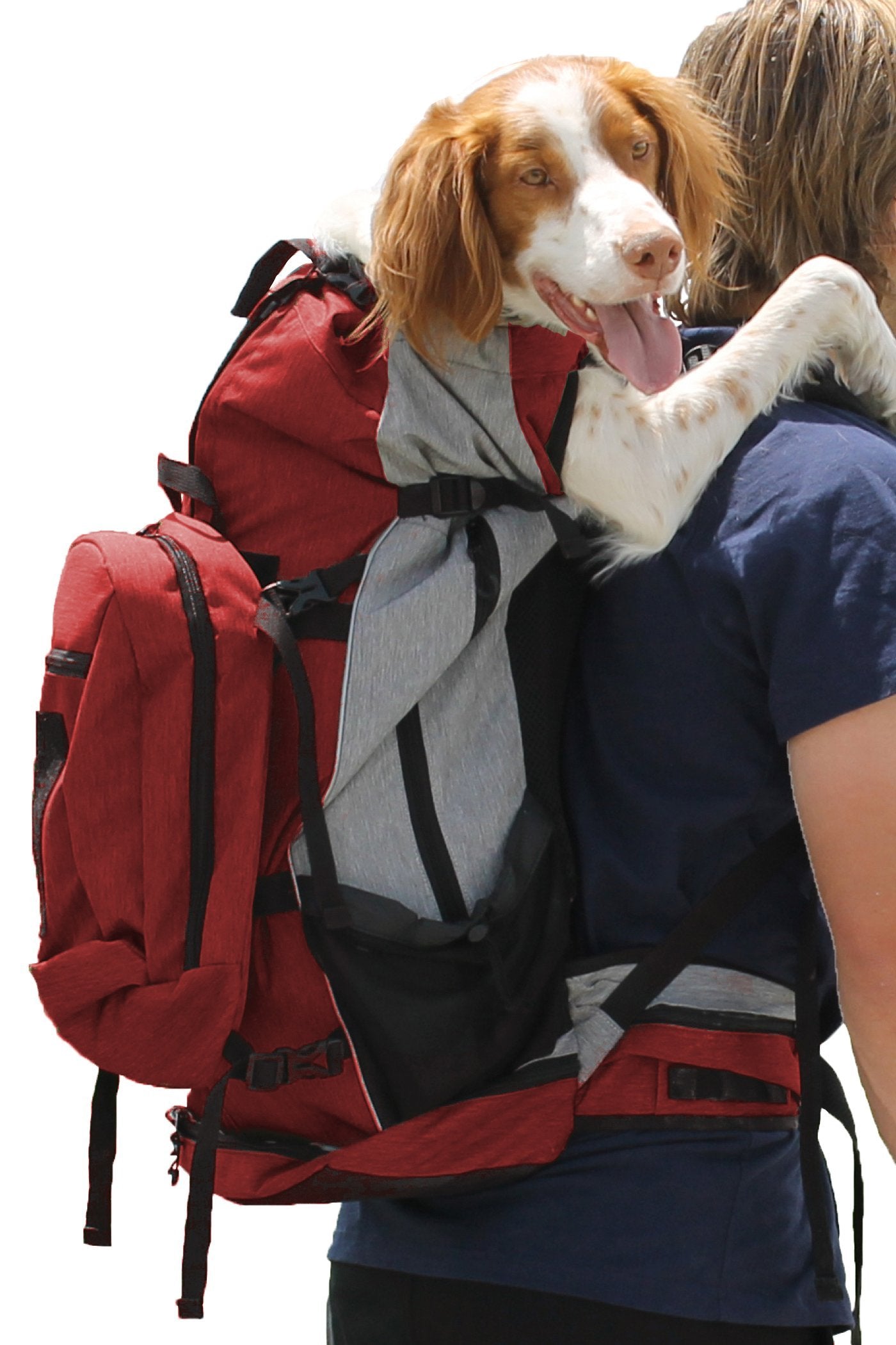 K9 Sport Sack Rover (30lbs-80lbs)