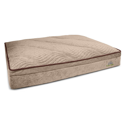 Buddy Rest Affinity Pillow Top Orthopedic Dog Bed