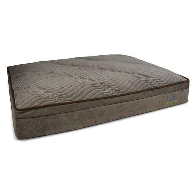 Buddy Rest Affinity Pillow Top Orthopedic Dog Bed