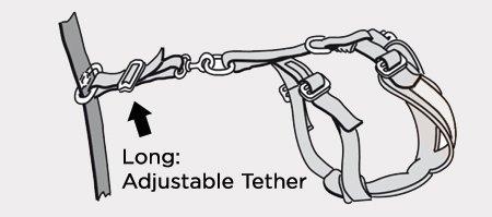 AllSafe Tether
