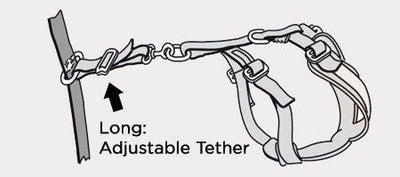 AllSafe Tether