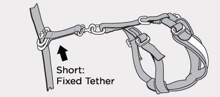 AllSafe Tether